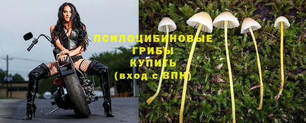 метадон Мегион