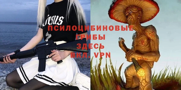 MDMA Premium VHQ Медвежьегорск