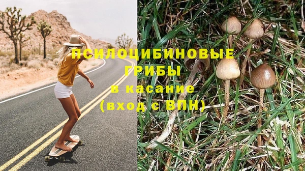метадон Михайлов