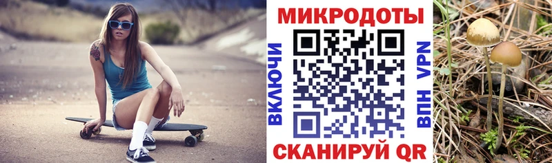 MEGA рабочий сайт  мориарти Telegram  Галлюциногенные грибы Psilocybine cubensis  наркота  Ишим 