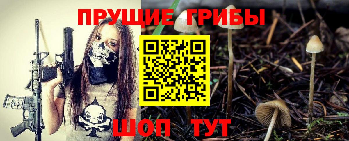 Галлюциногенные грибы Psilocybe Ишим