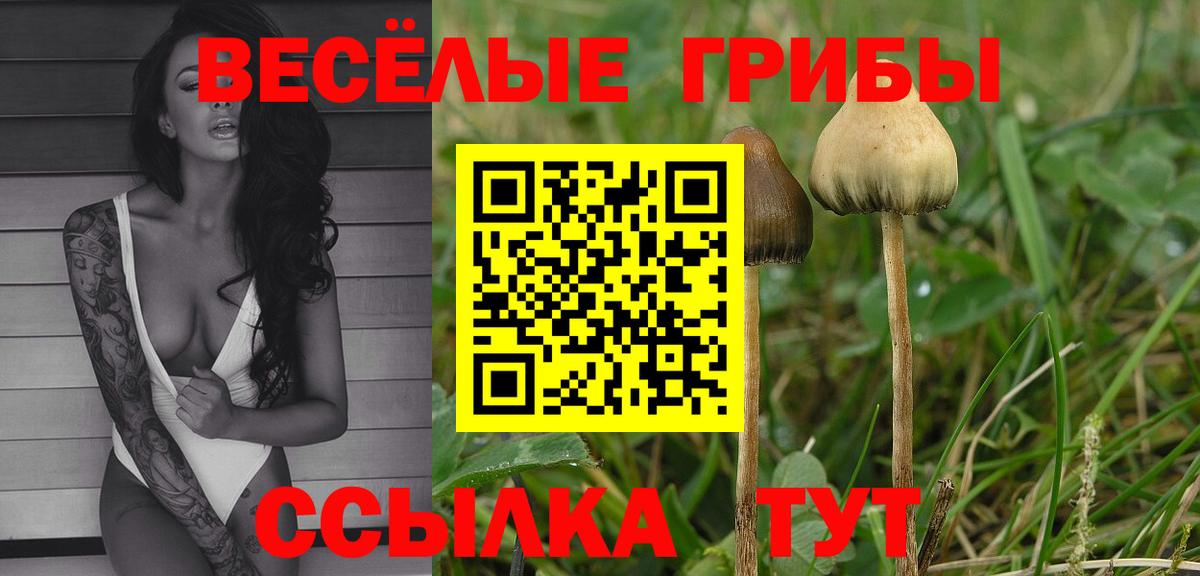 Галлюциногенные грибы ЛСД  Псилоцибиновые грибы Psilocybine cubensis  купить  сайты  Ишим  Вход с VPN 